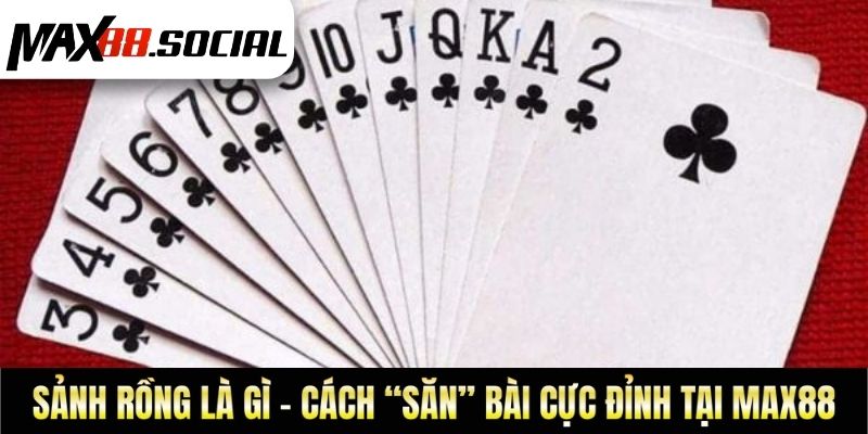 Sảnh Rồng Là Gì - Cách “Săn” Bài Cực Đỉnh Tại Max88