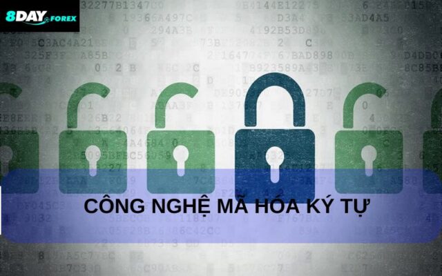 Bảo vệ thông tin thanh toán 8day an toàn tuyệt đối