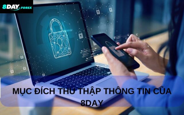 Mục đích sử dụng thu thập thông tin của 8day