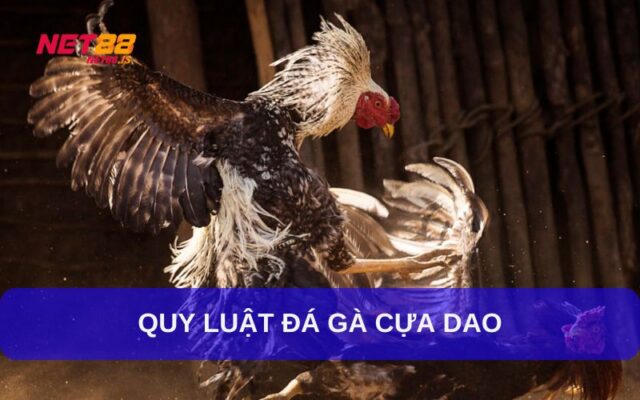 Cược Vào Đầu Trận Hoặc Chờ Thị Trường Ổn Định