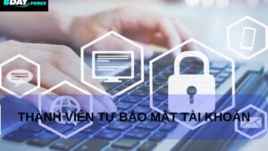 Quyền của người dùng theo Chính Sách Bảo Mật 8day